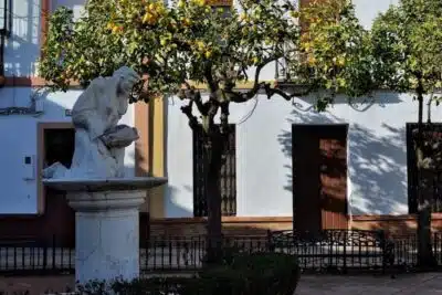 Centro de Salud La Palma Del Condado