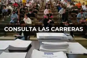 Consulta Las Carreras